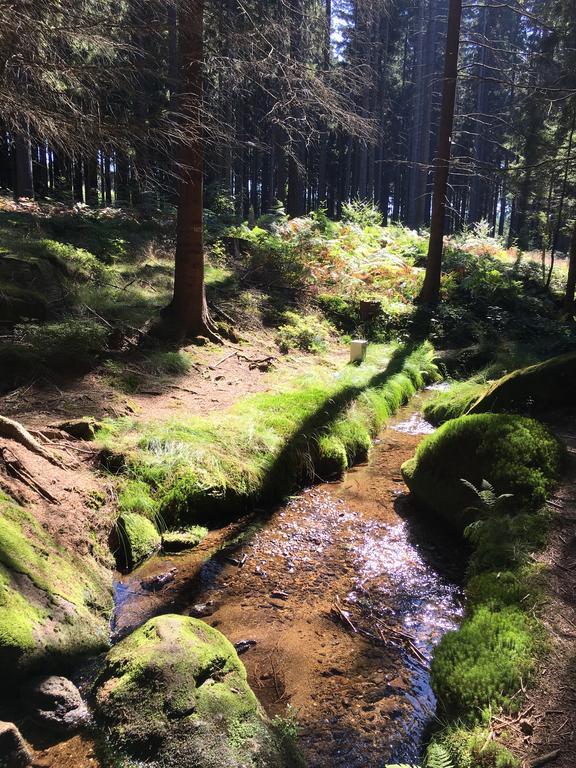 Apartman Adele Rumburk Esterno foto